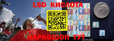 стаф Абакан